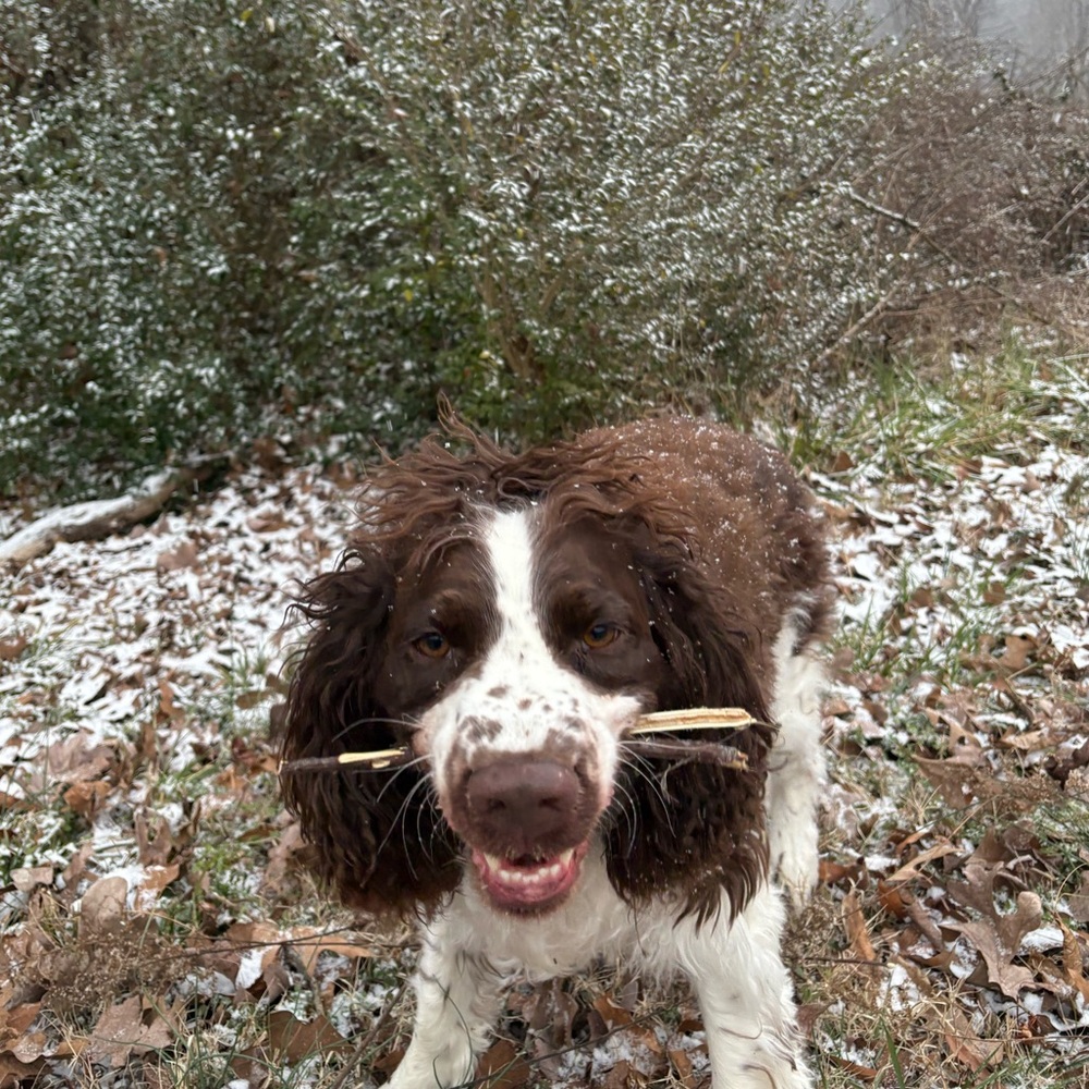 Meet your Posher, Chloe